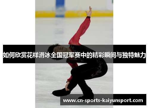 如何欣赏花样滑冰全国冠军赛中的精彩瞬间与独特魅力