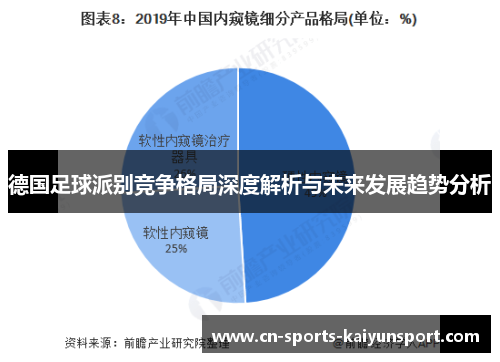德国足球派别竞争格局深度解析与未来发展趋势分析 德国足球派别竞争格局深度解析与未来发展趋势分析