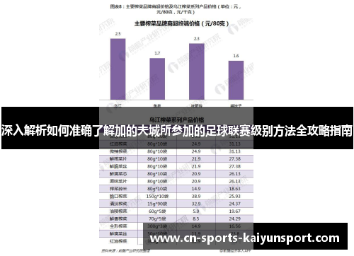 深入解析如何准确了解加的夫城所参加的足球联赛级别方法全攻略指南 深入解析如何准确了解加的夫城所参加的足球联赛级别方法全攻略指南